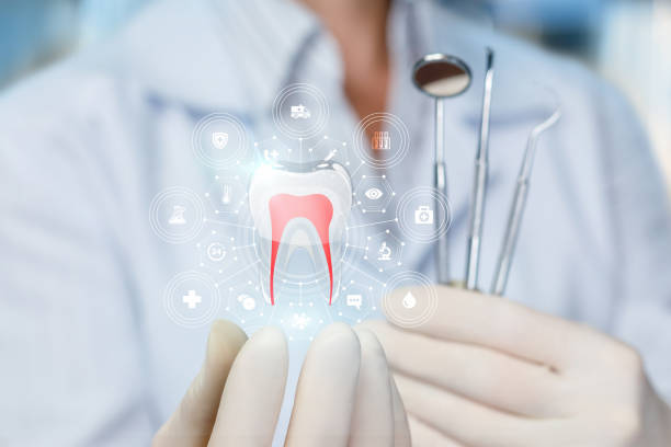 Best Preventive Dentistry  in San Lorenzo, CA